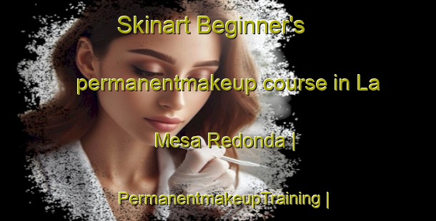 Skinart Beginner's permanentmakeup course in La Mesa Redonda | PermanentmakeupTraining | PermanentmakeupClasses | SkinartTraining-Mexico